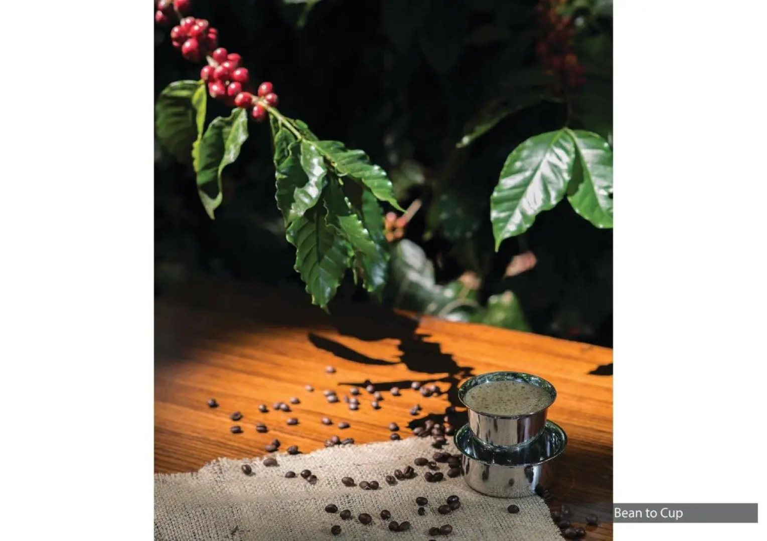 The Serai Chikmagalur