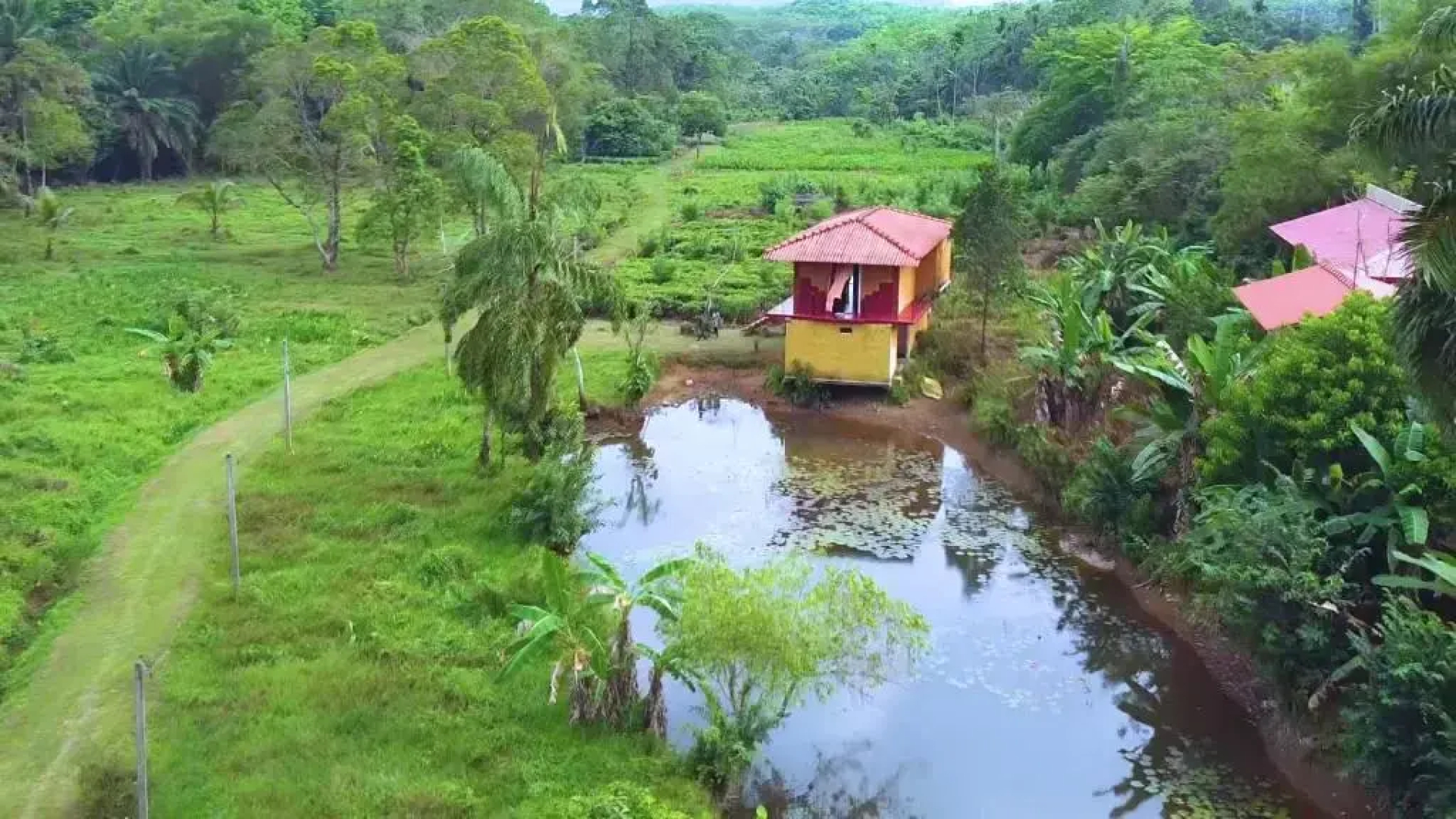 Manikgoda Tea Paradise
