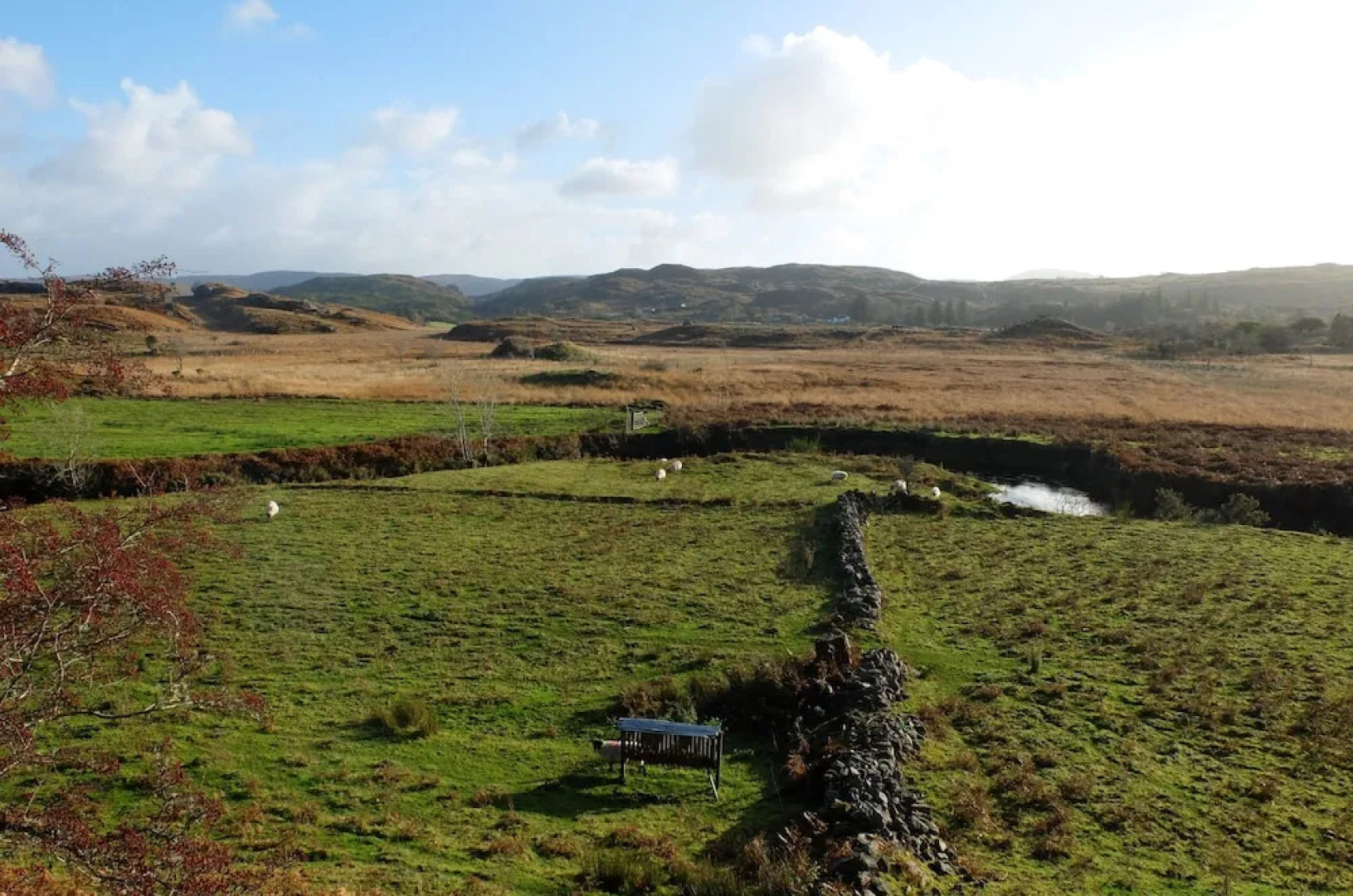 Willow Cottage Donegal B&B