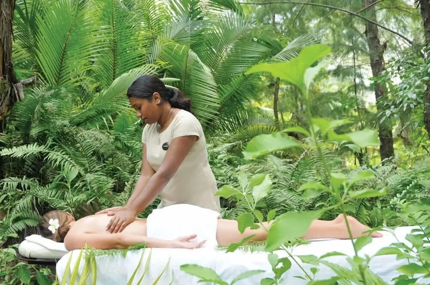 Mindo Coffee Lodge & Spa