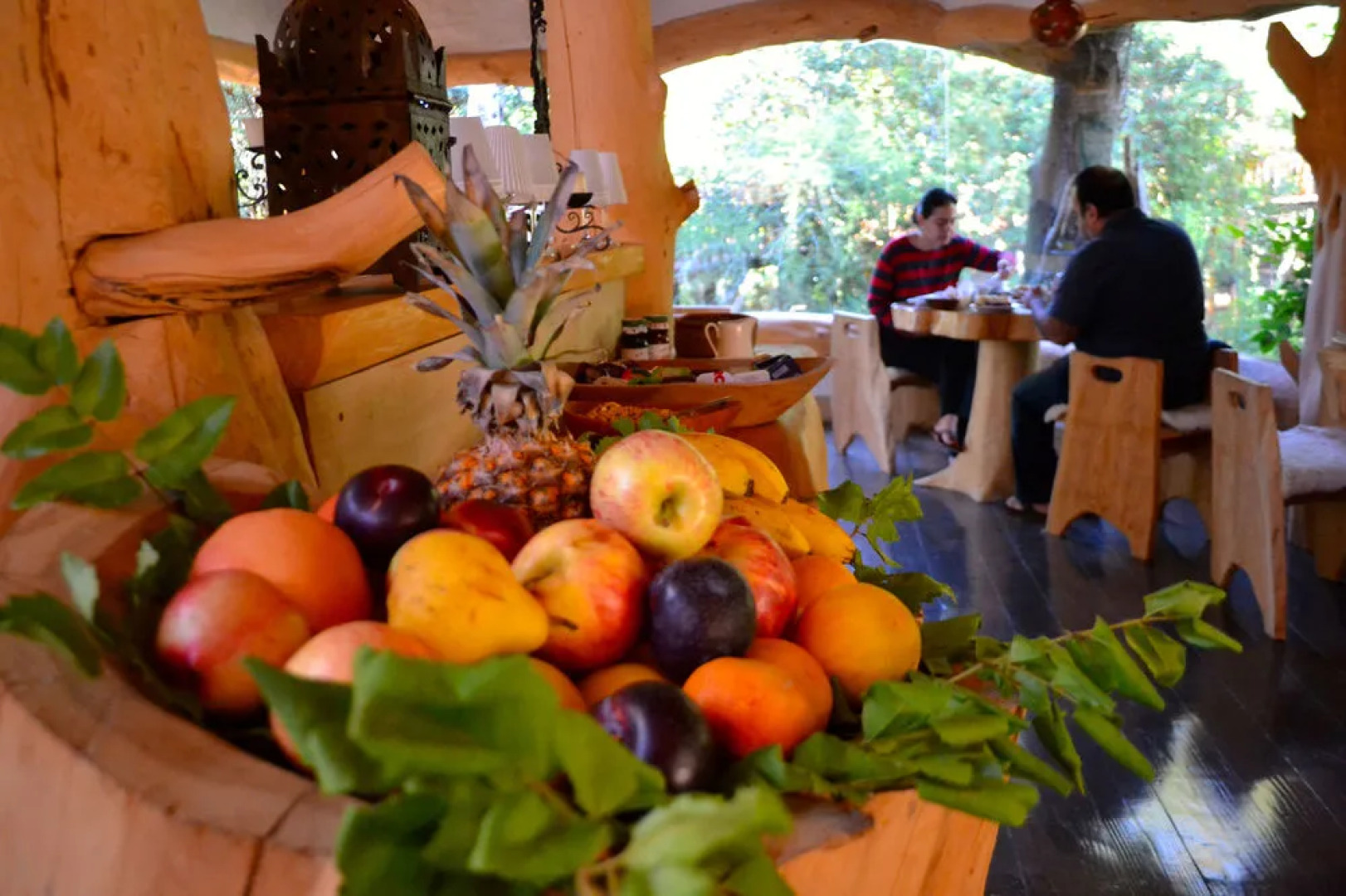 Tree Lodge Nidos de Pucon