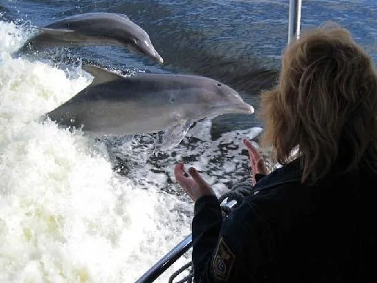 Fishermens Village Resort