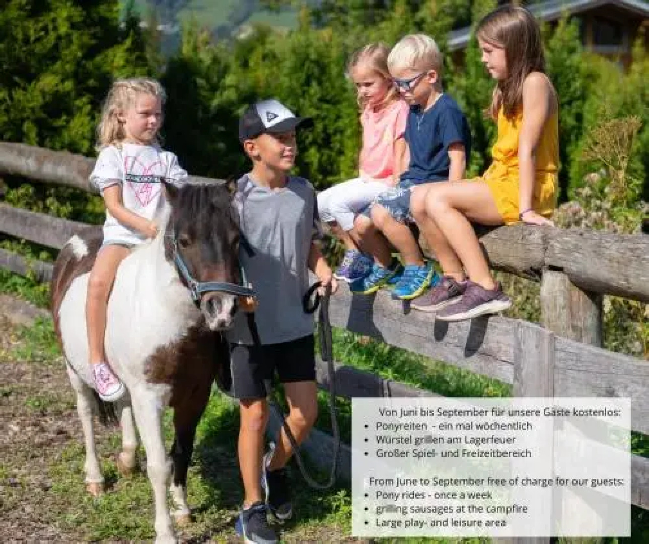 Apartment Viola Altenmarkt