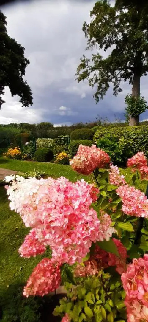 Bungalow Idylle Am See