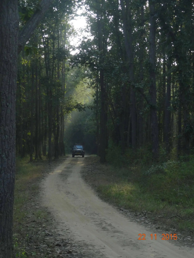 Windsor Tiger Resort