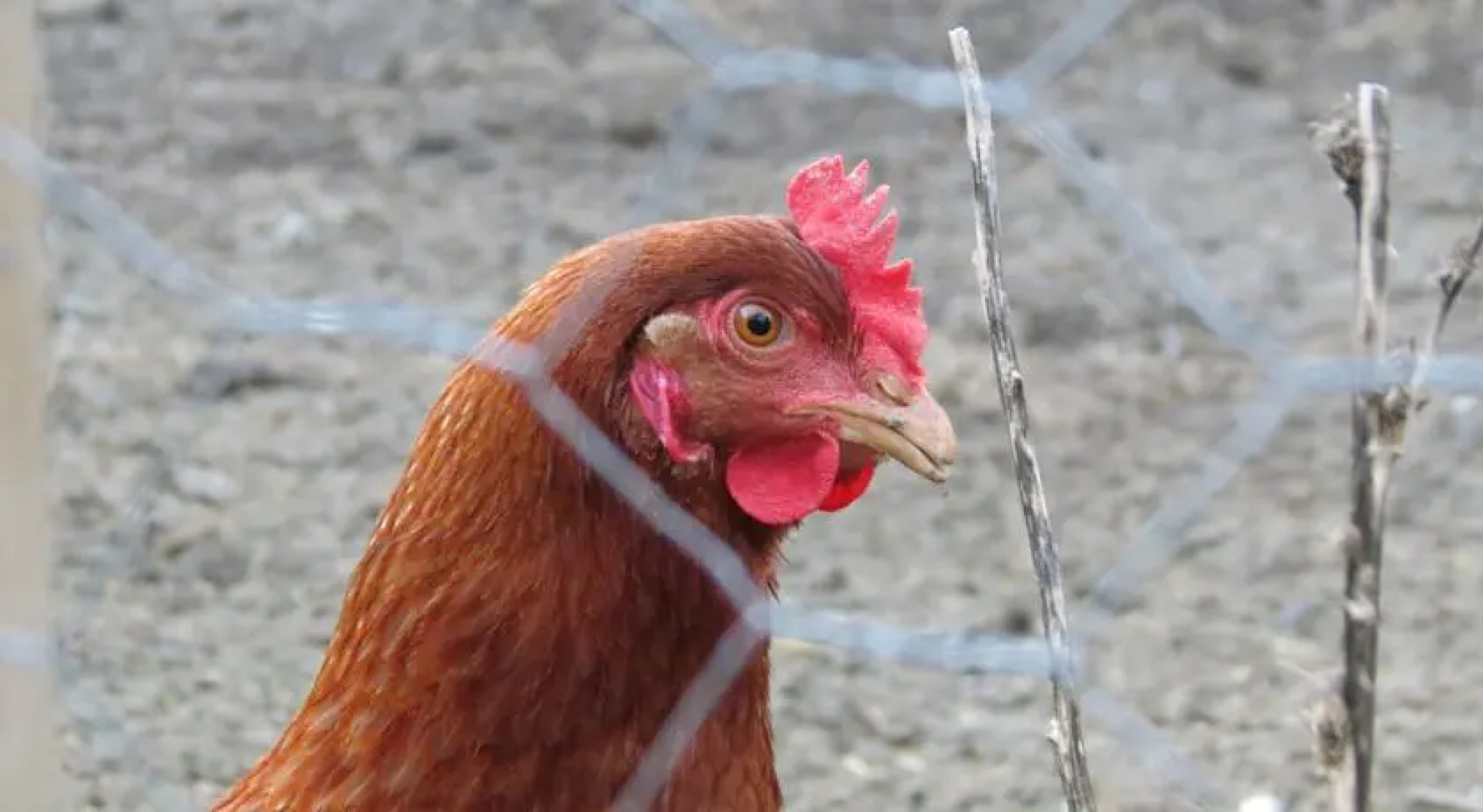 Gîte La Longère de la Thébline