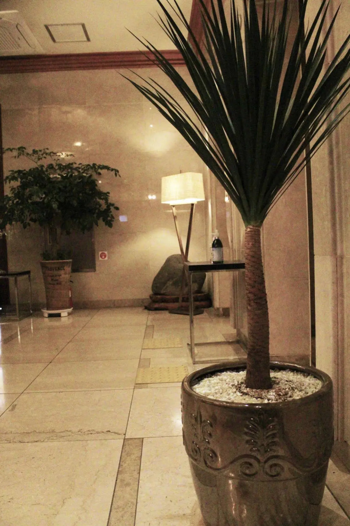 Firenze Tourist Hotel