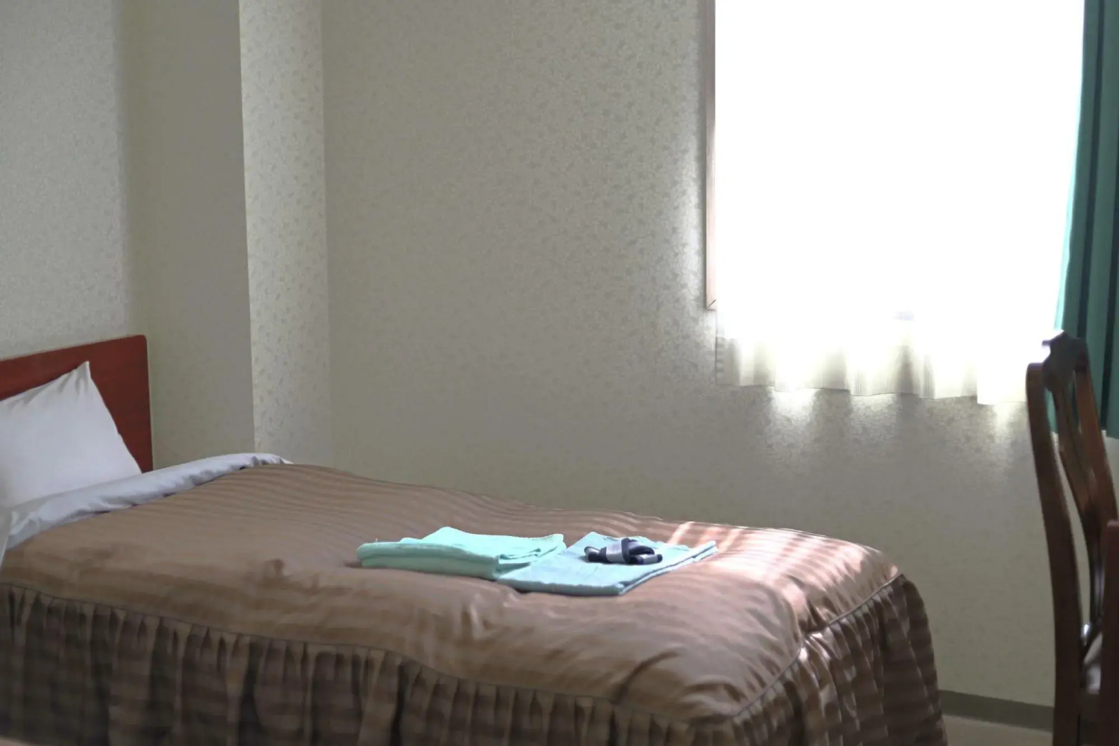 Daiichi Business Hotel Takeso