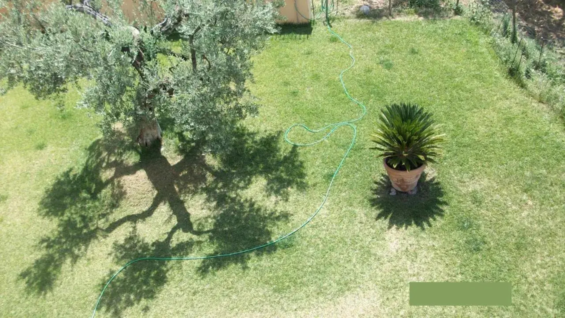 Il Giardino degli Ulivi