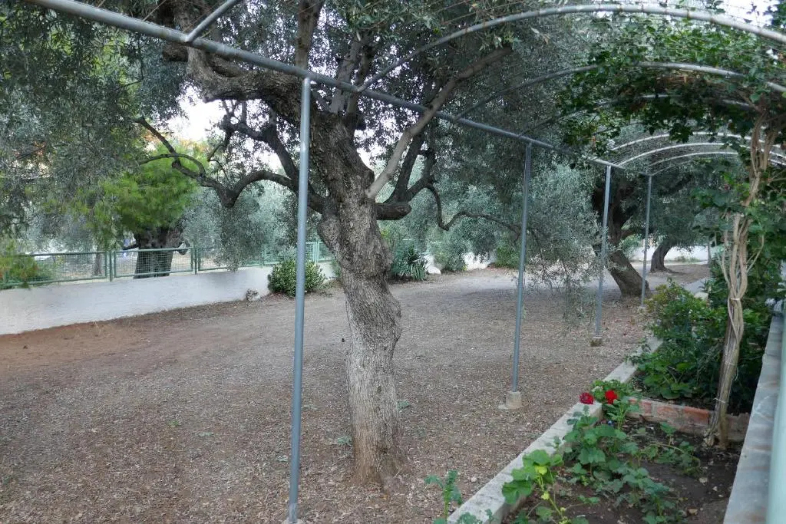 Tiros Apartments Armonia