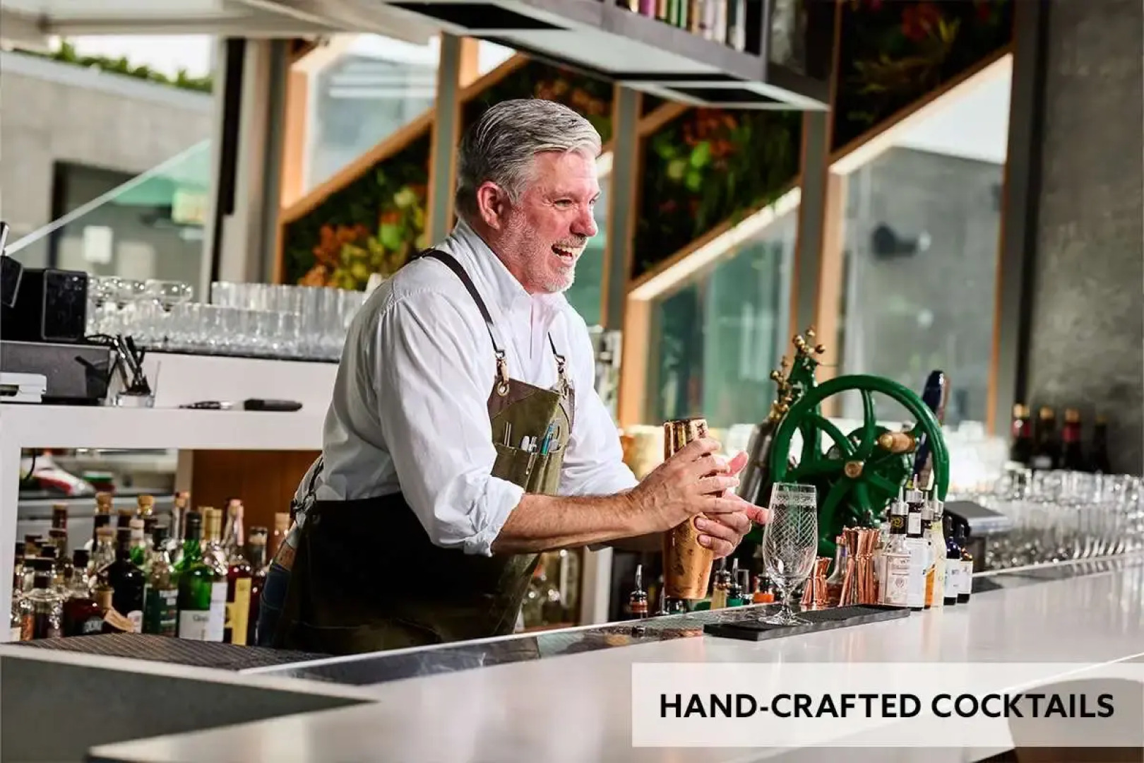 Shashi Hotel Mountain View Palo Alto