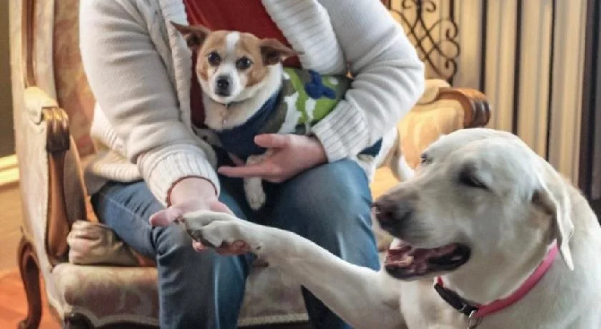 Admiral Peary Inn Bed & Breakfast