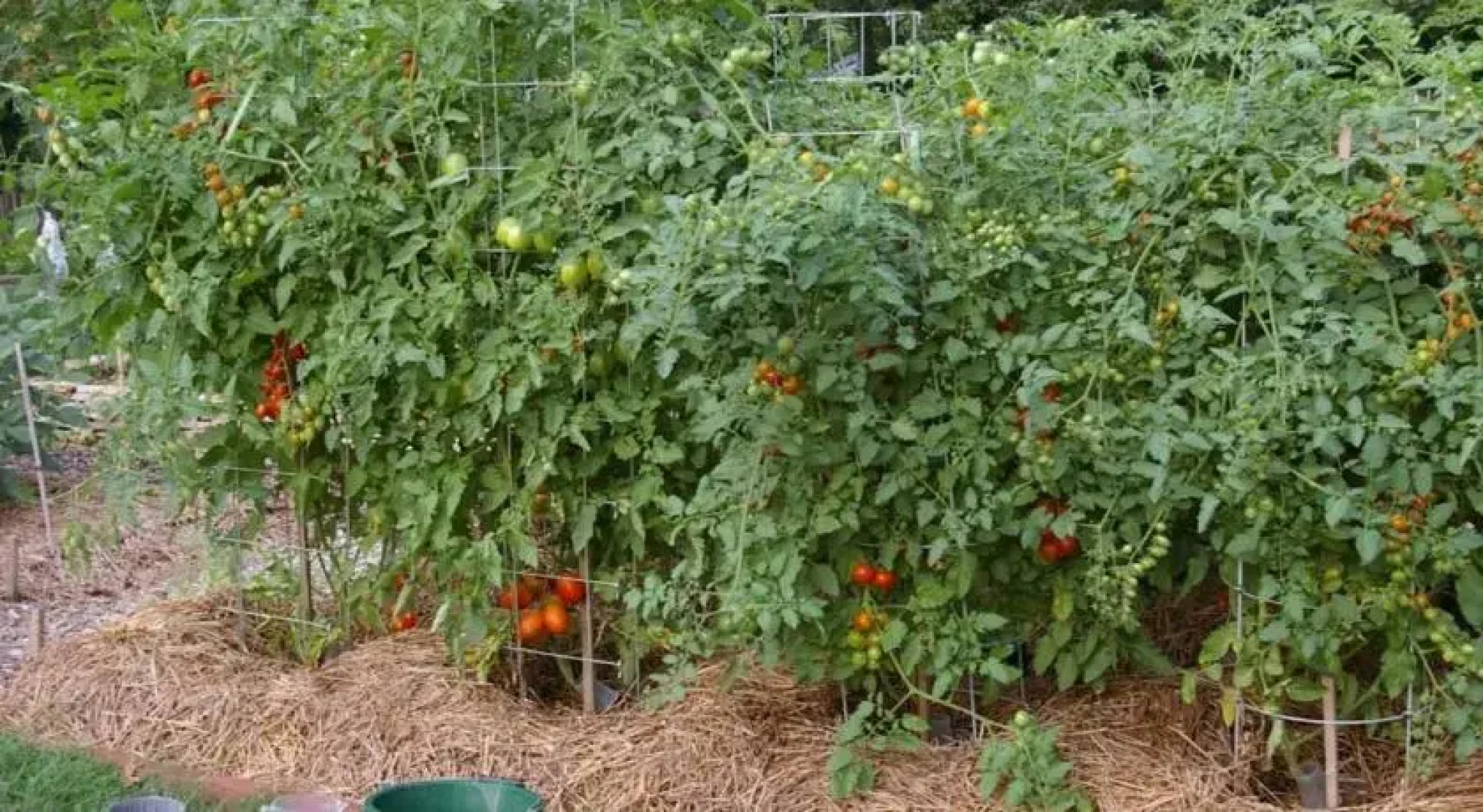 Downtown Spacious 2-bedroom Condo by Wasatch Vacation Homes