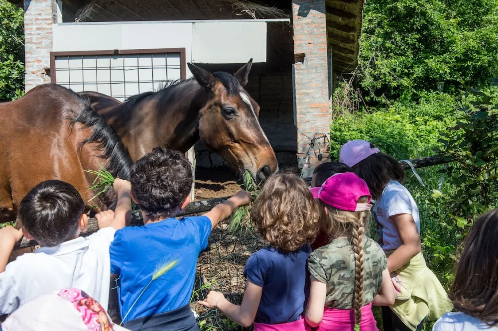 La Cartiera dei Benandanti
