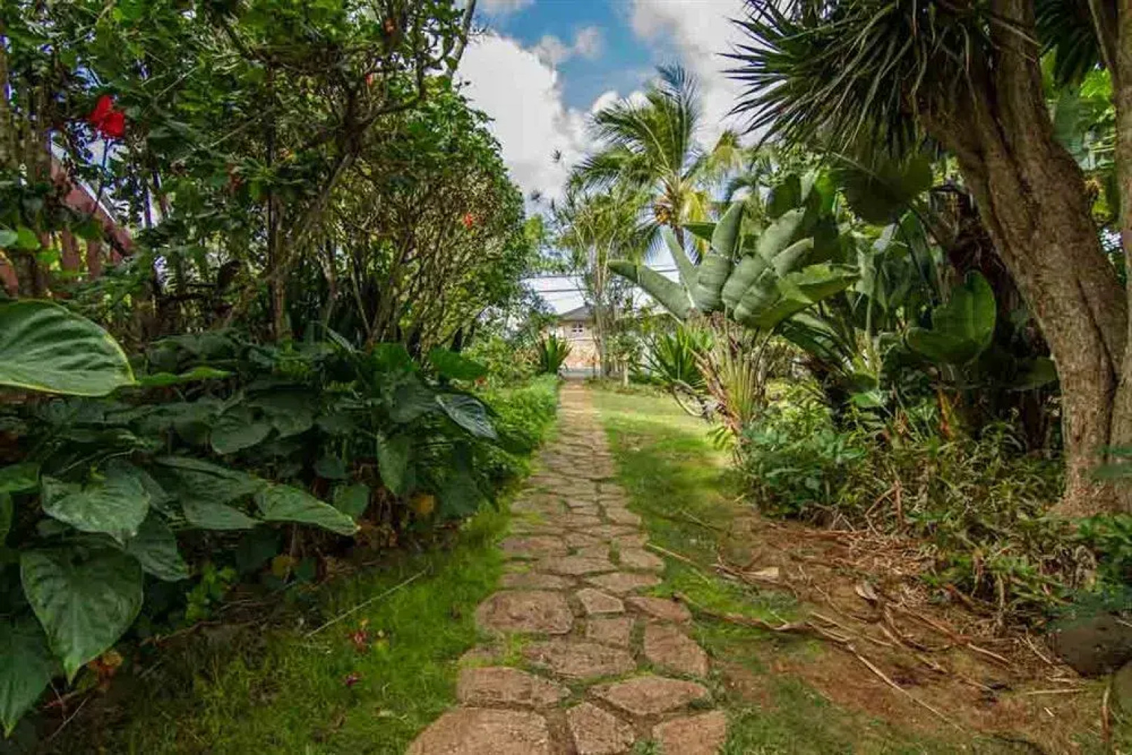 Backpackers Vacation Inn and Plantation Village