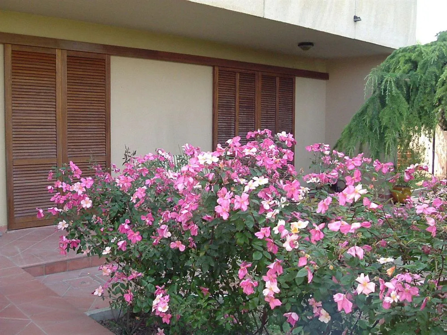 Il Giardino di Matilde