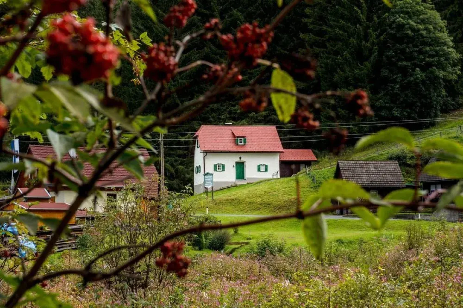 Zinkhaus - Waldheimat Alpl