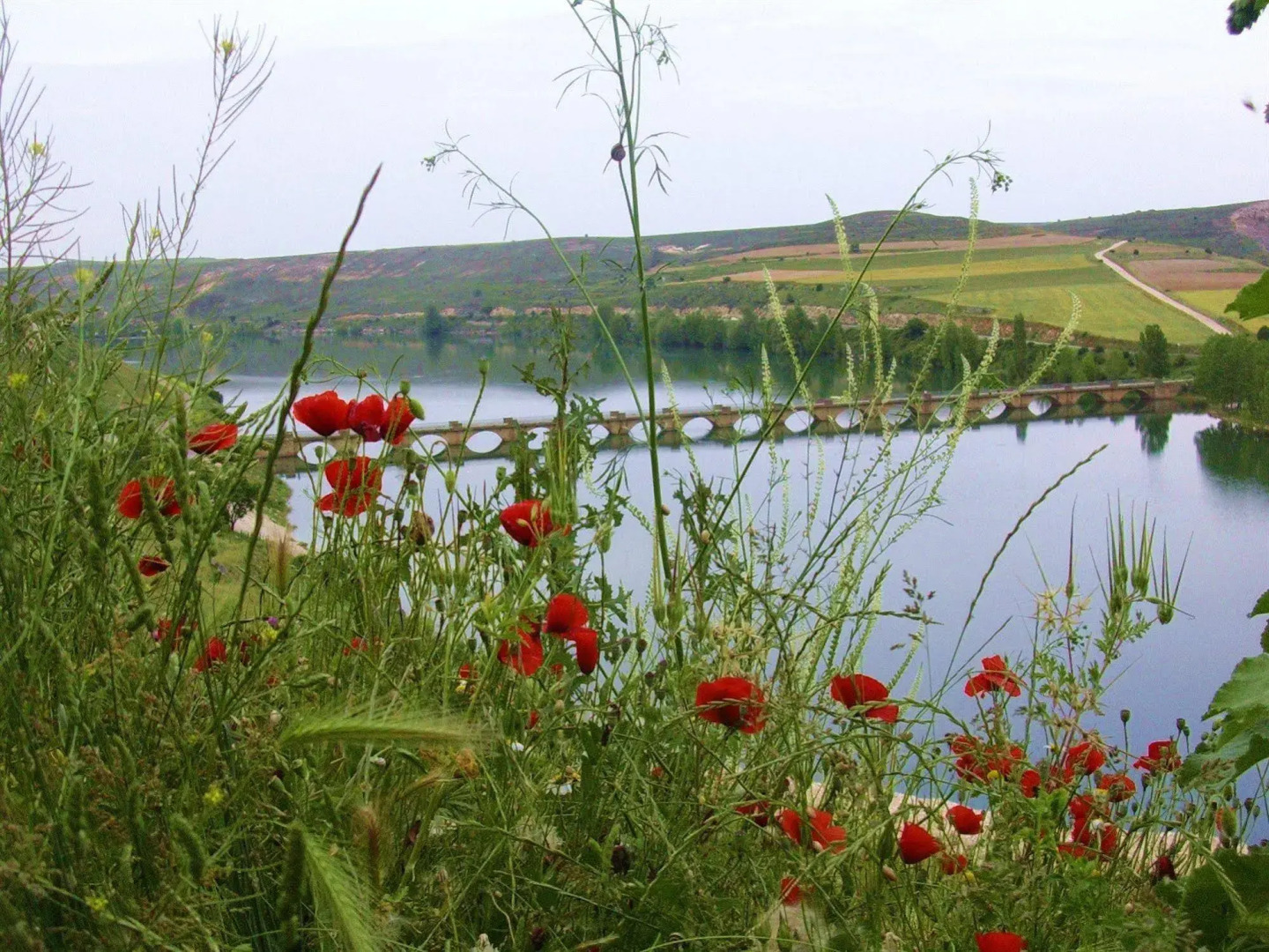 Boutique & Spa Capitulo Trece