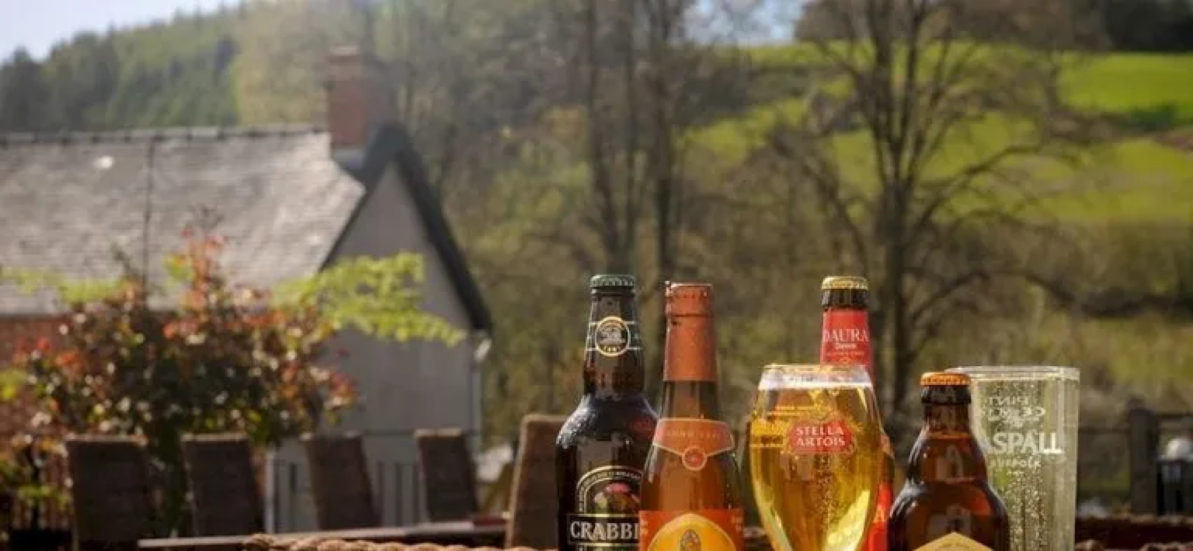 The Mount Inn