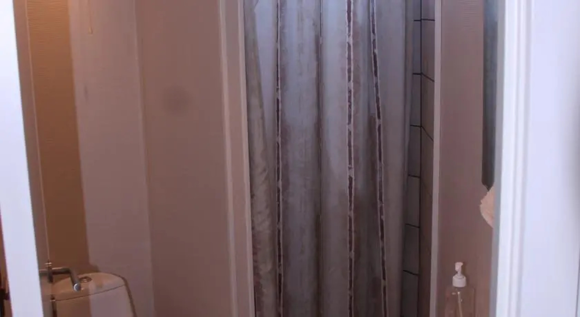 Anemone 26 Holiday House