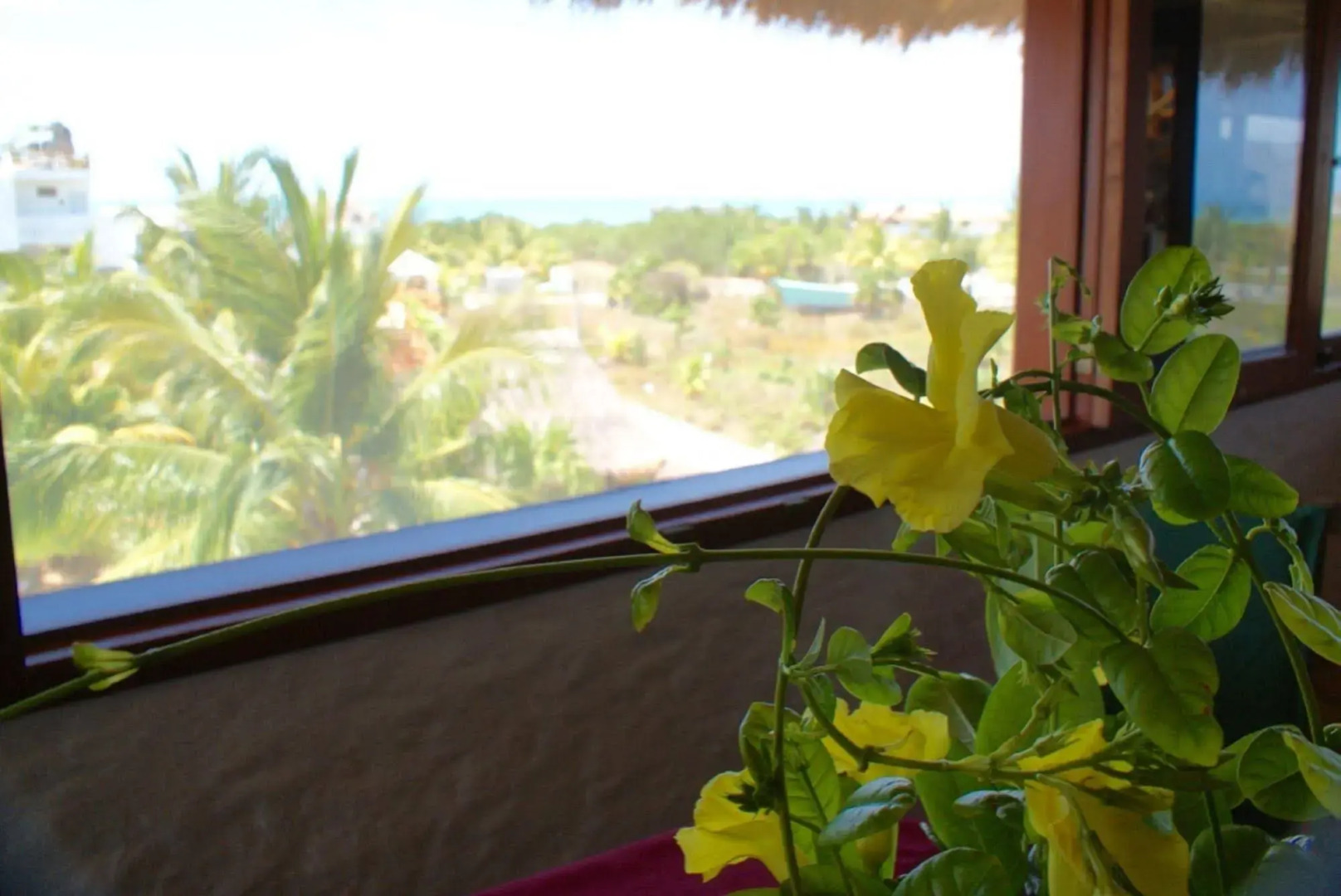 Ensueño Holbox and Beach Club