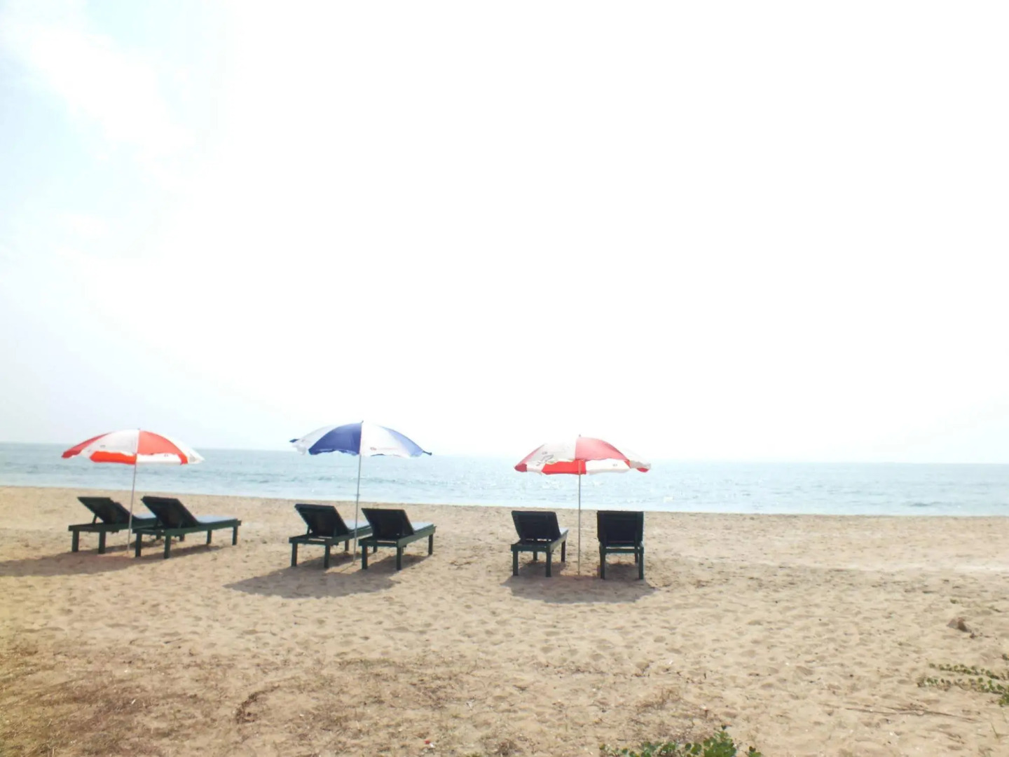 Cherai Beach Residency