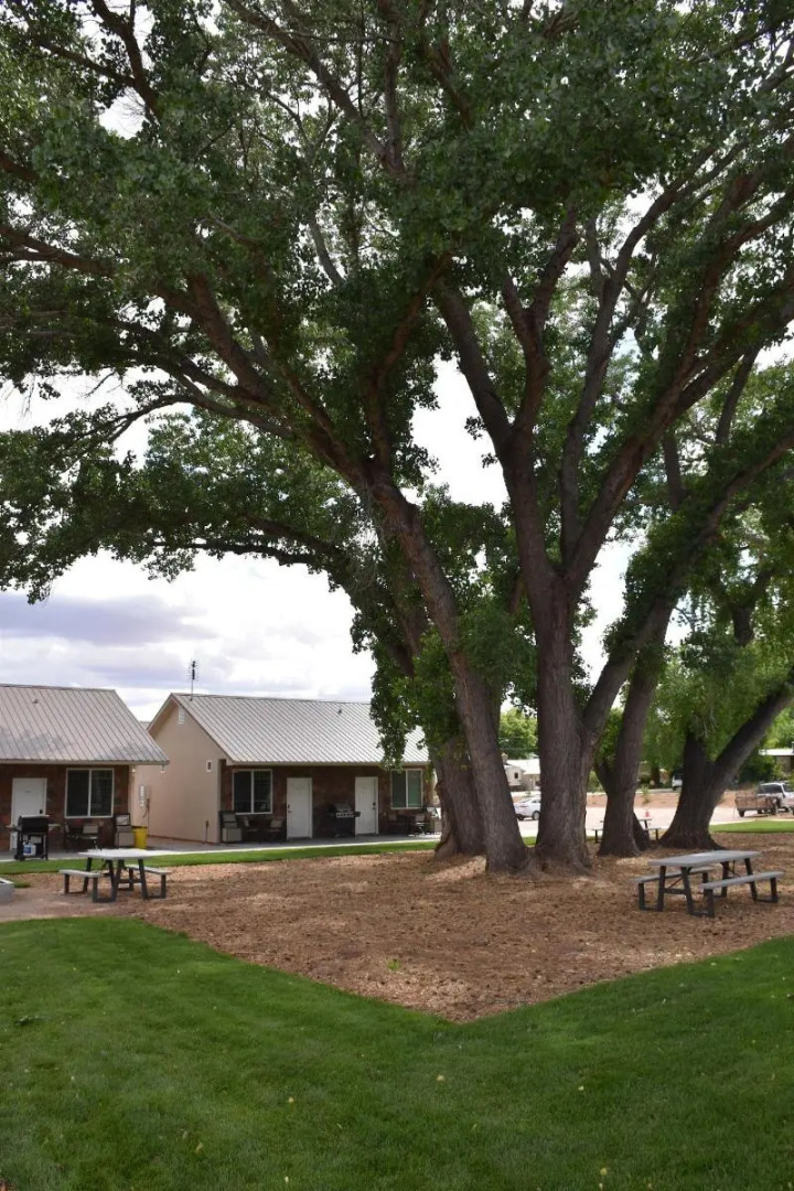 Zion's Camp and Cottages