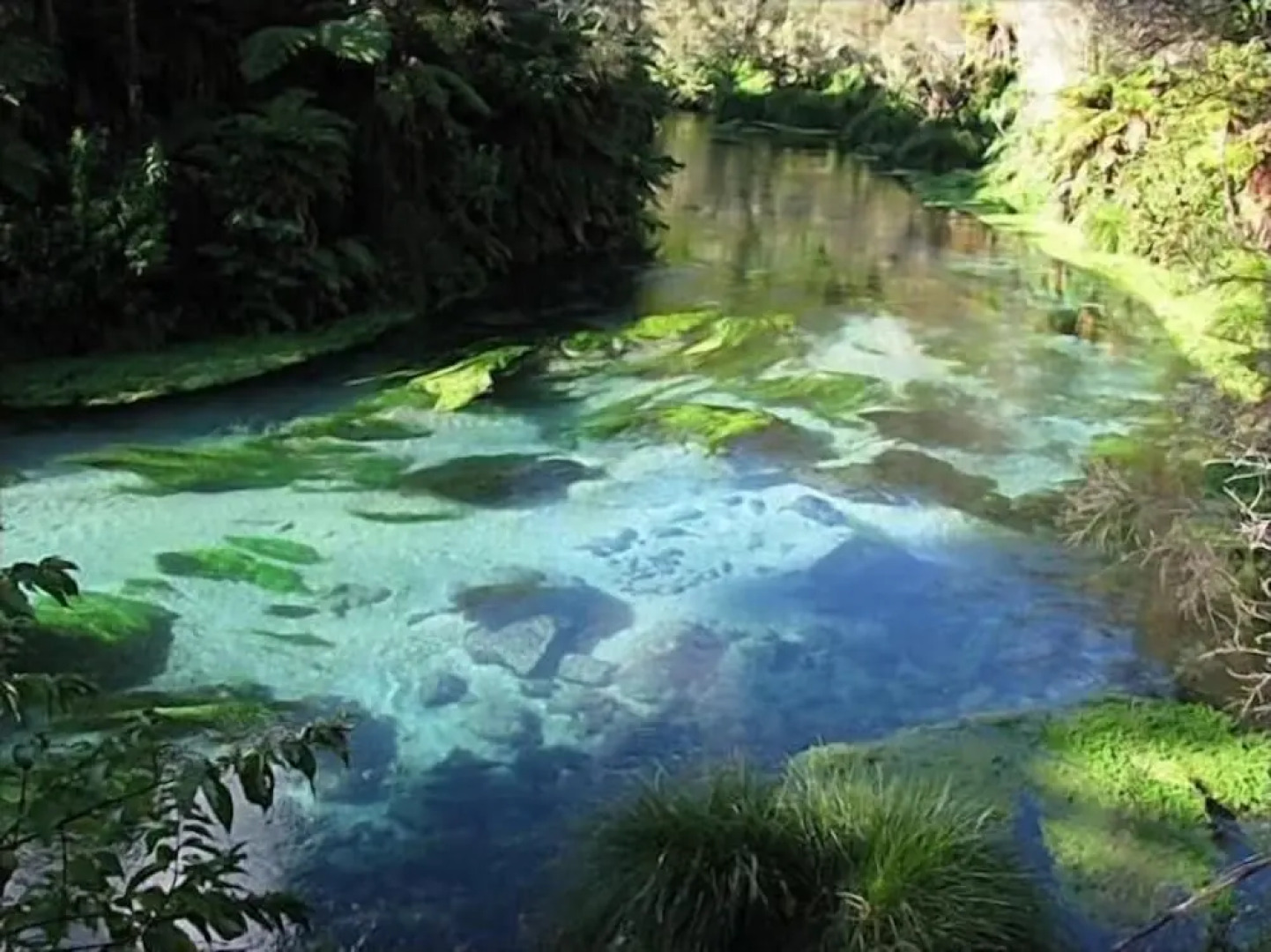 Putaruru Arms Motor Inn