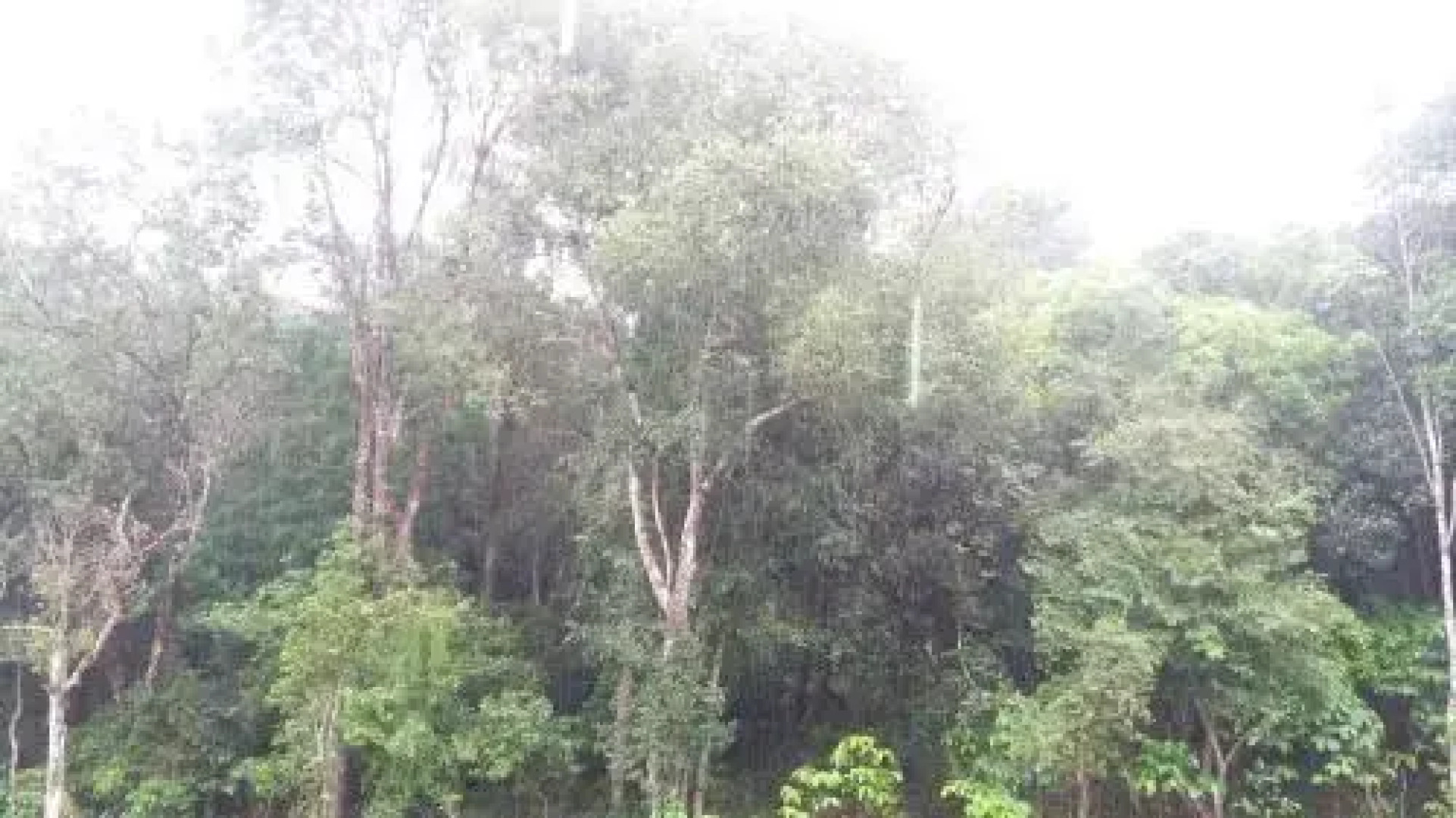 Vrindavan Sangeeth Farms