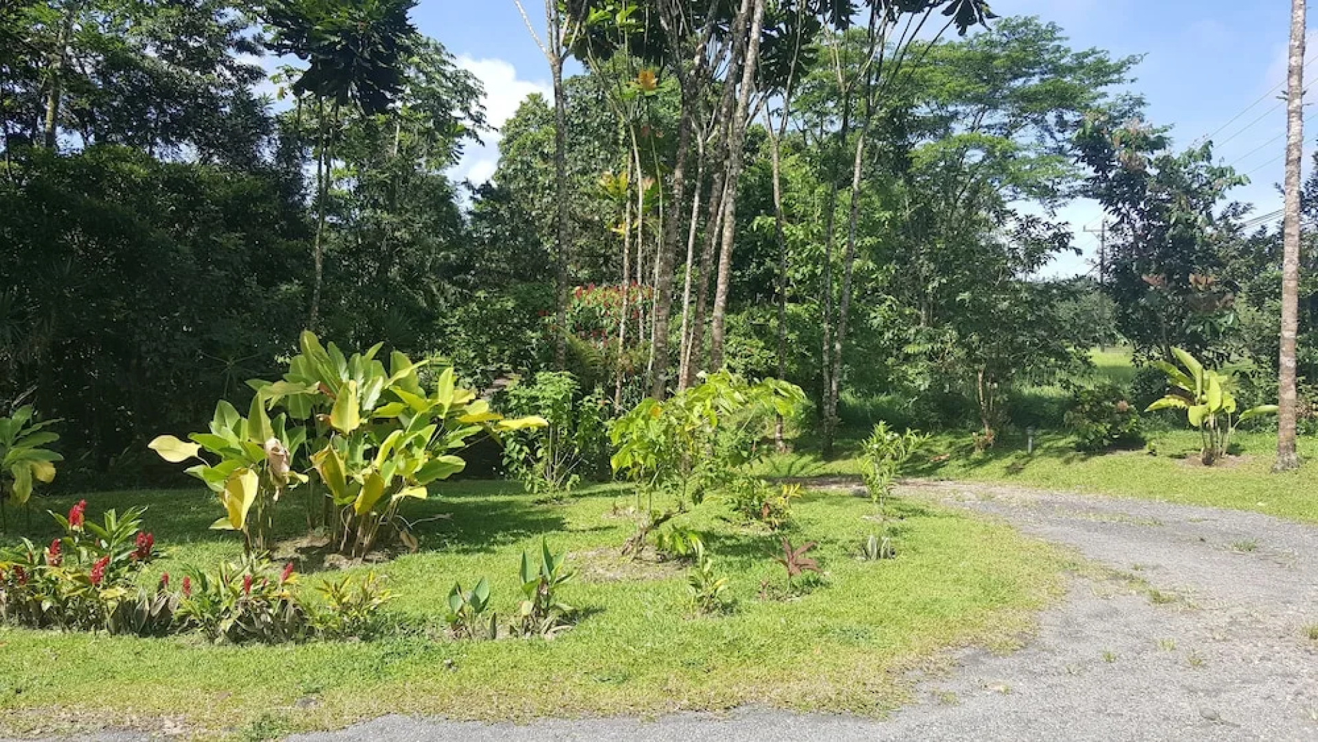 Hotel Erupciones Inn