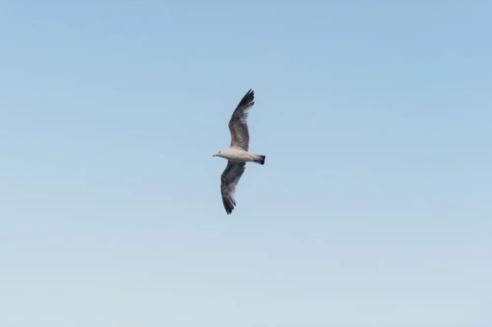 Belle Epoque Boutique Villa