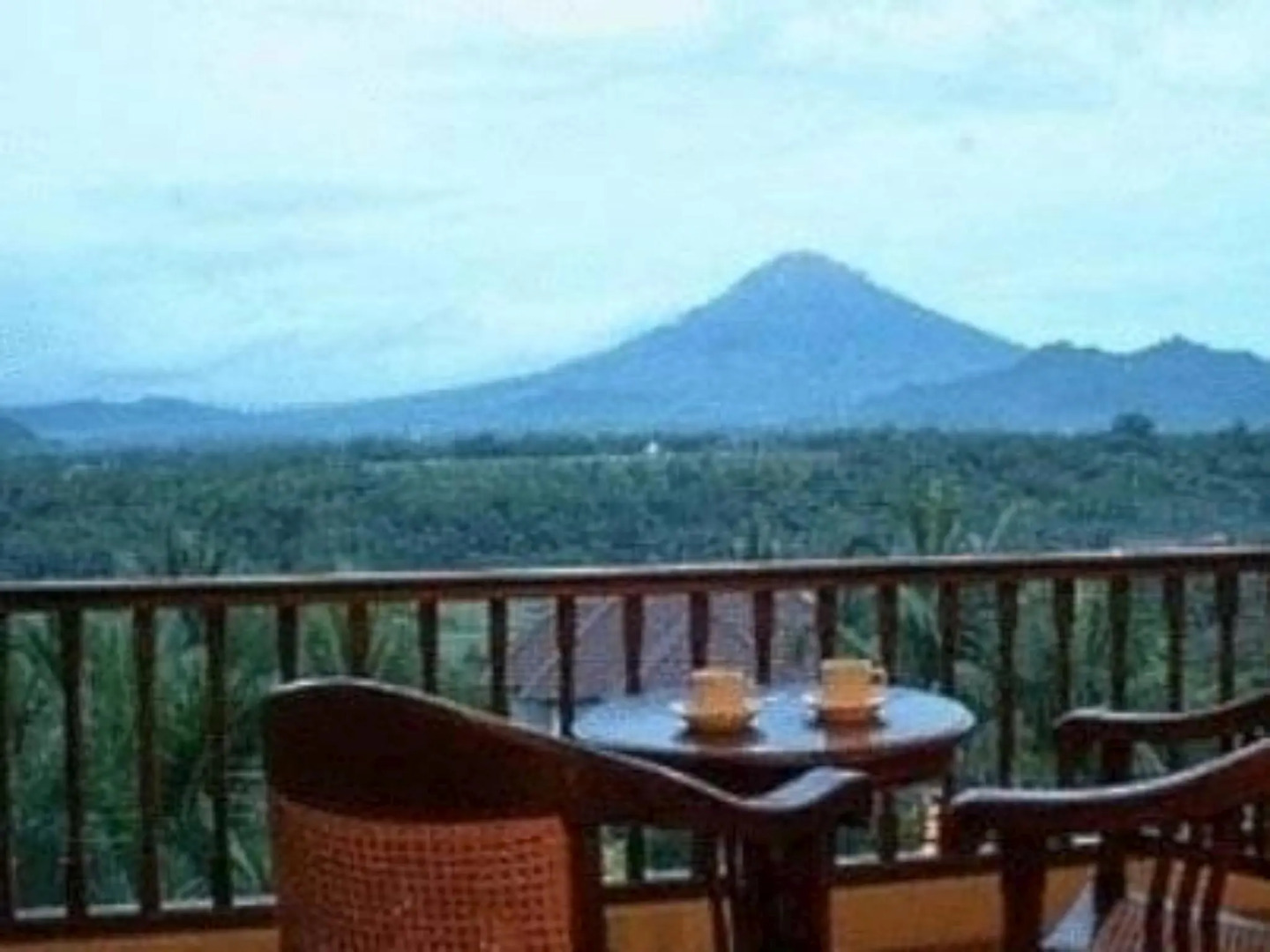 The Oxalis Regency Hotel Magelang