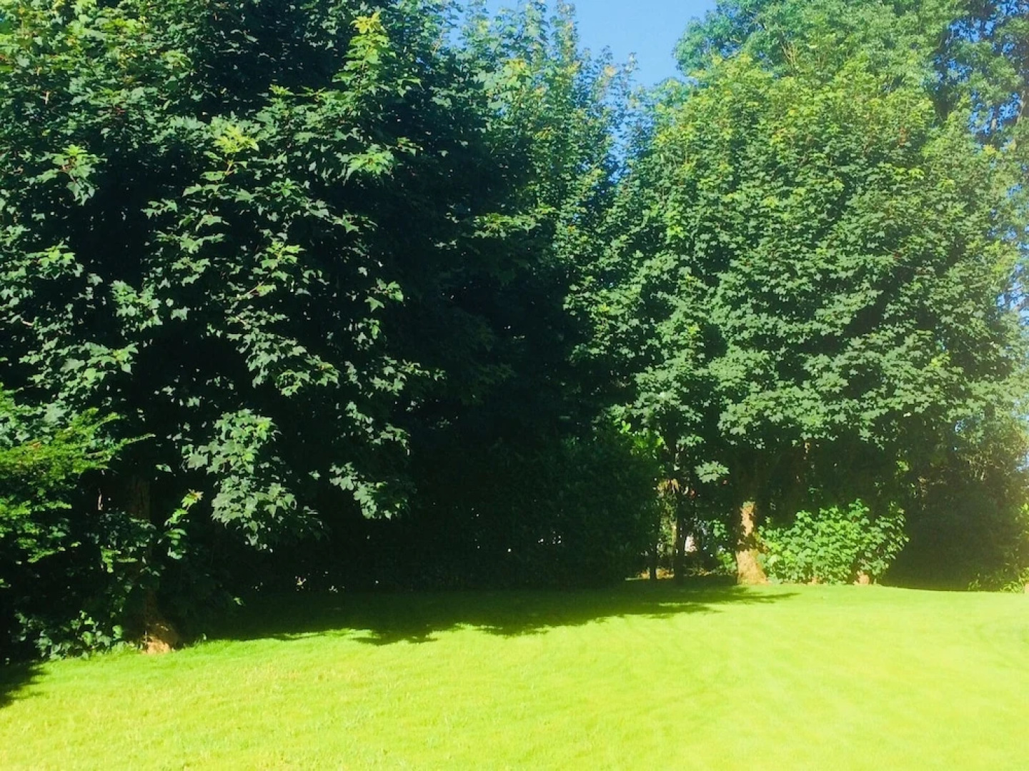 Chambre d'Hotes La Maison du Parc