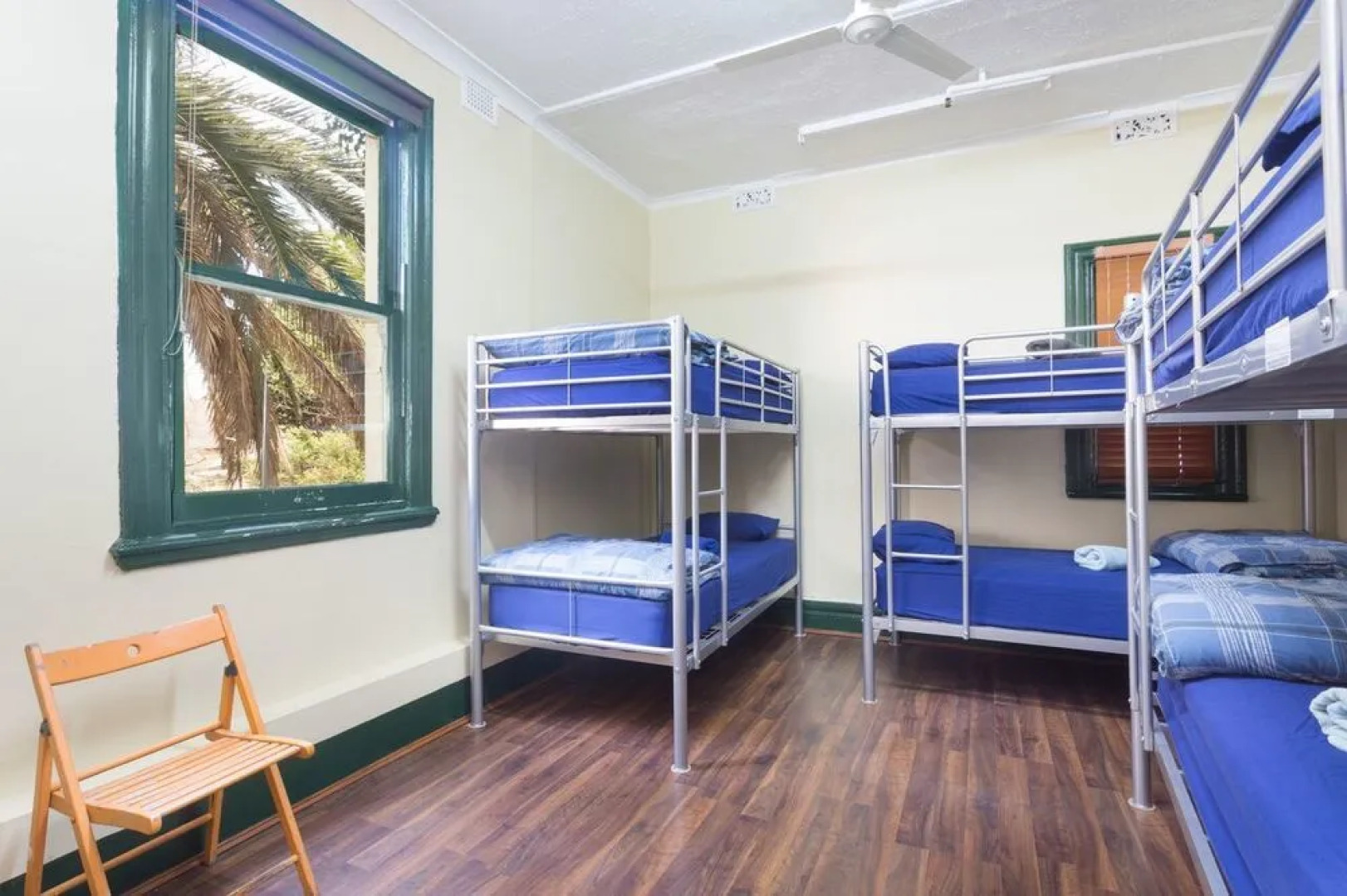 Little Drifter Glebe