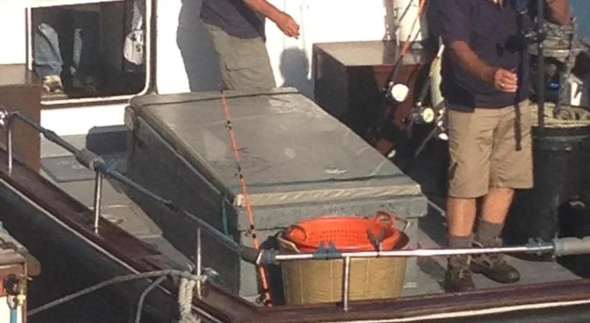 Mulberry Cottage B&B