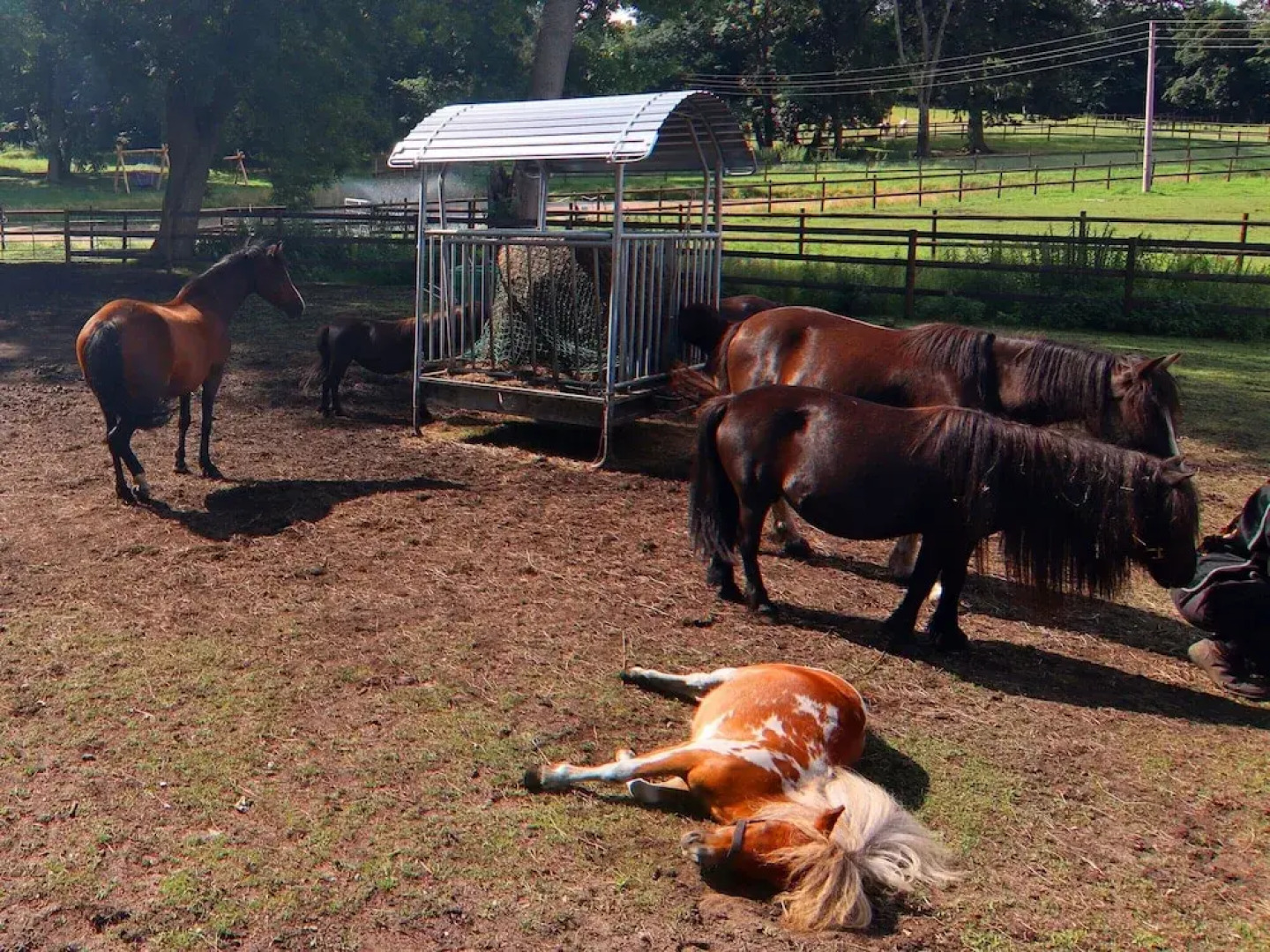 Holiday Home Birgit, Wendorf