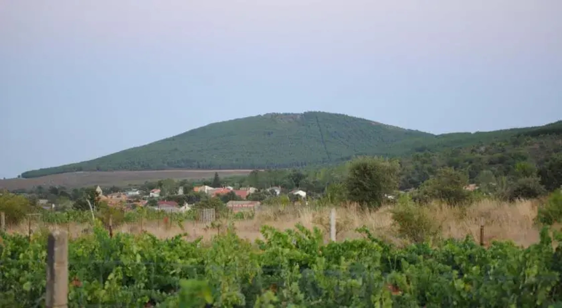 Casa Rural El Portal del Moro