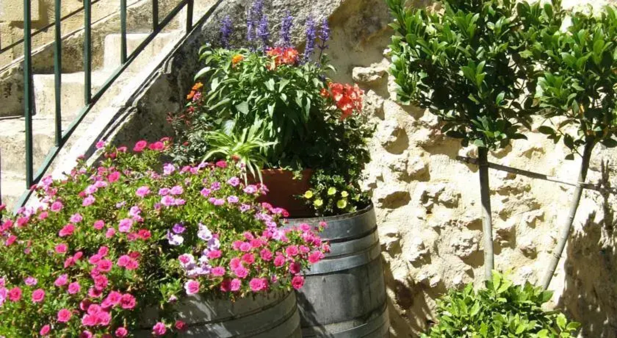 Camping RCN le Moulin de la Pique