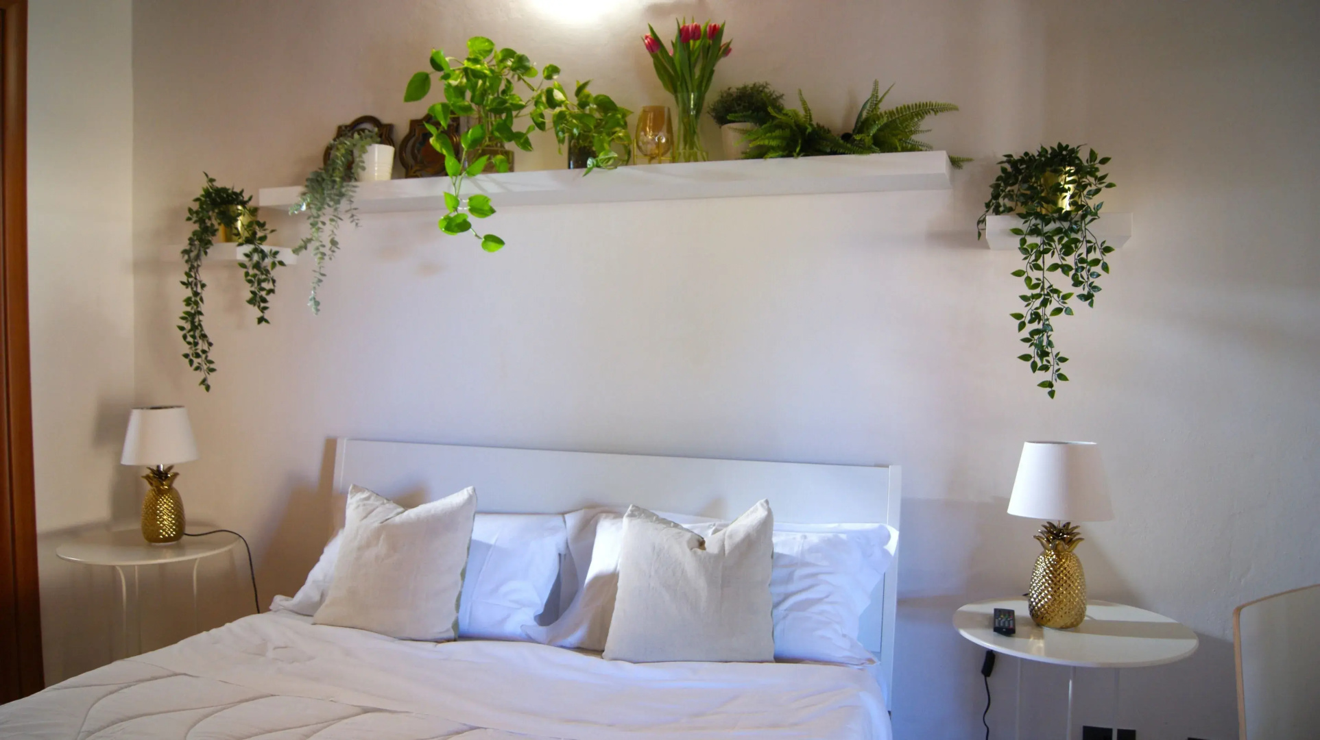 B&B Eyexei Domus