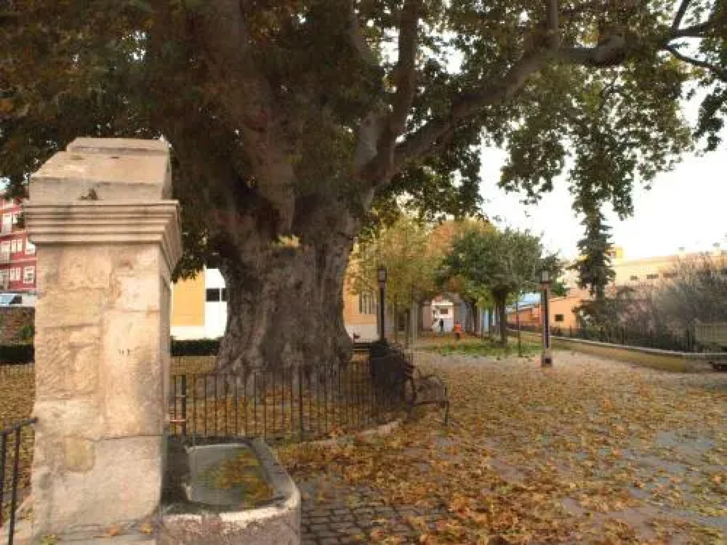 Casa Rural Sant Antoni