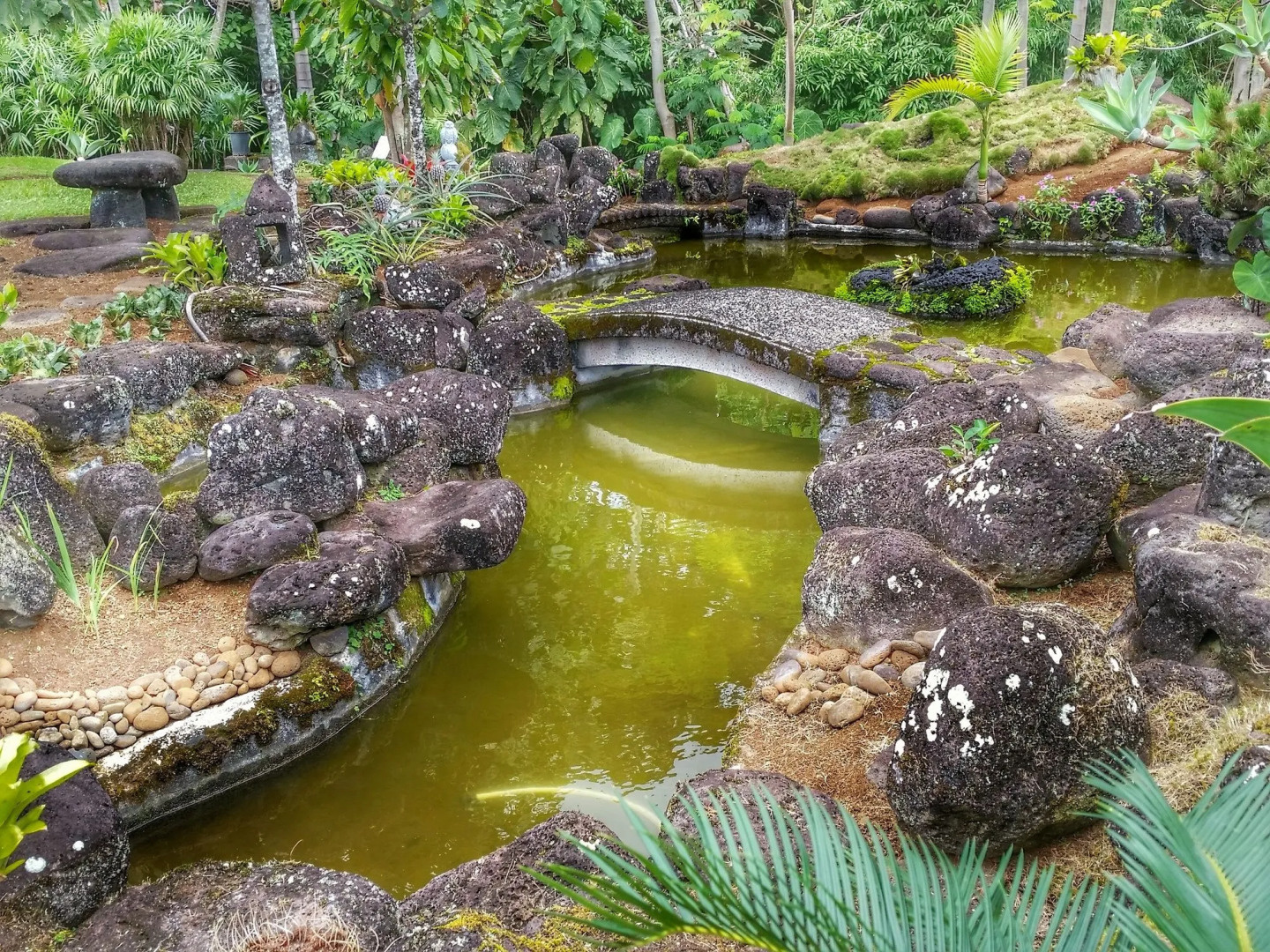 Hilltop Vacation Rental