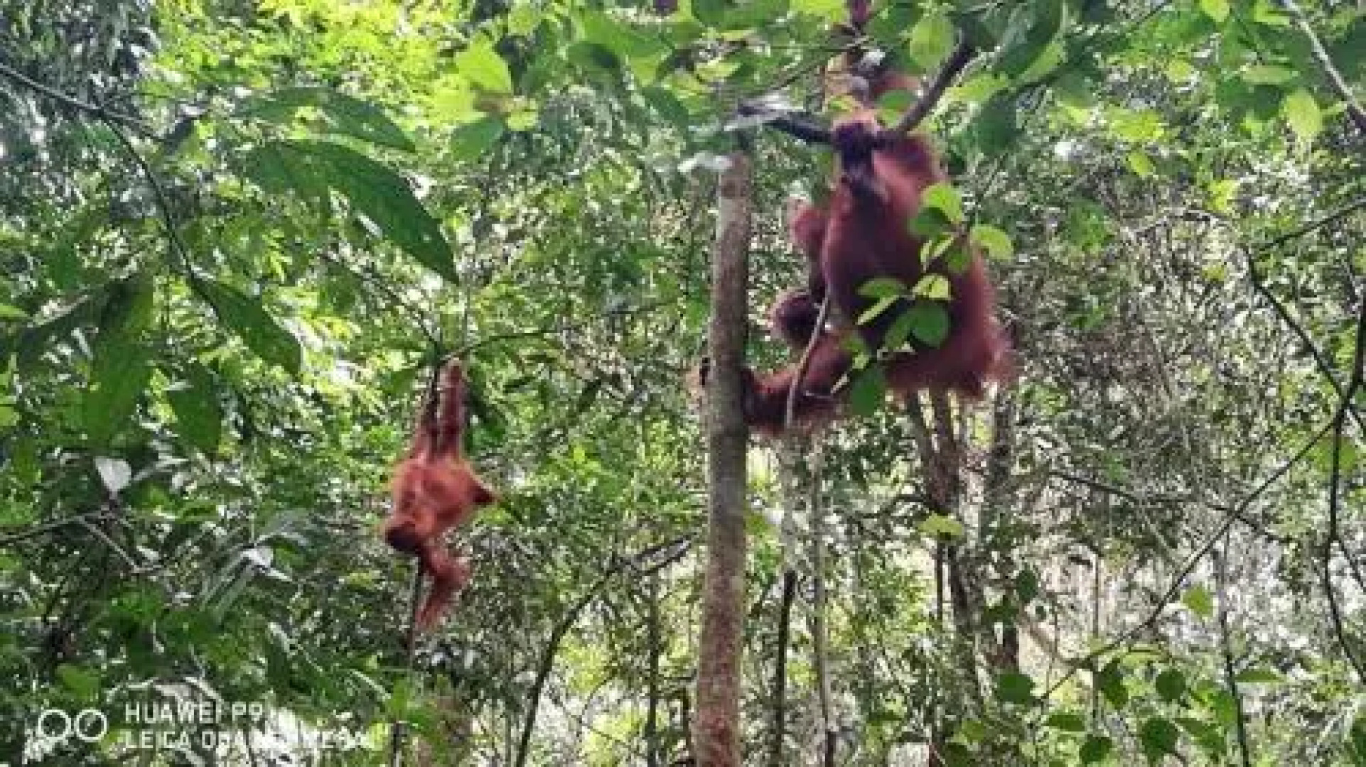 Bukit Menday Guest House