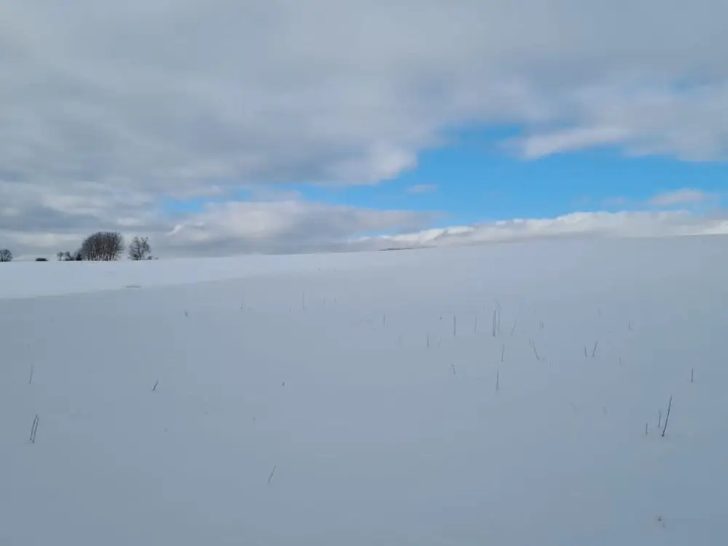 Holiday Home in Willersdorf With Outdoor Sauna