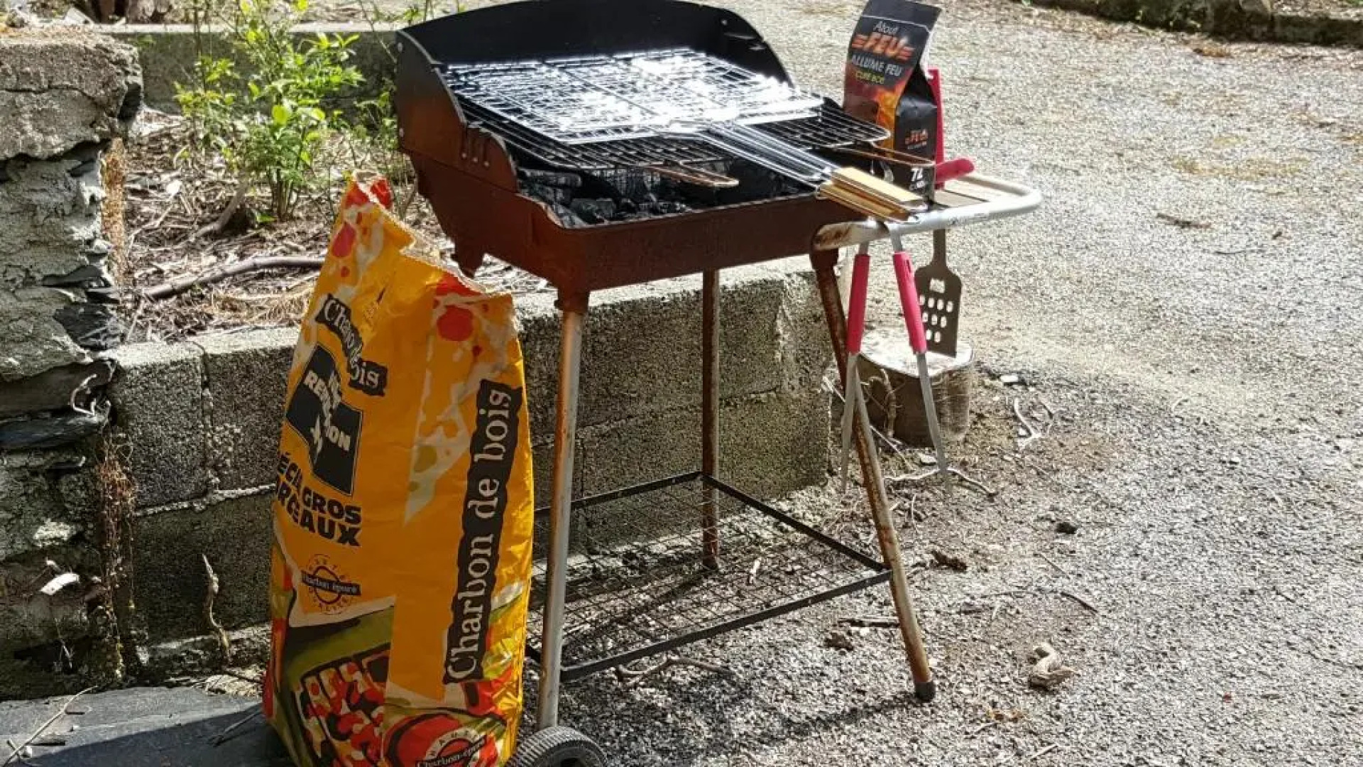 Sur La Route Des Myrtilles