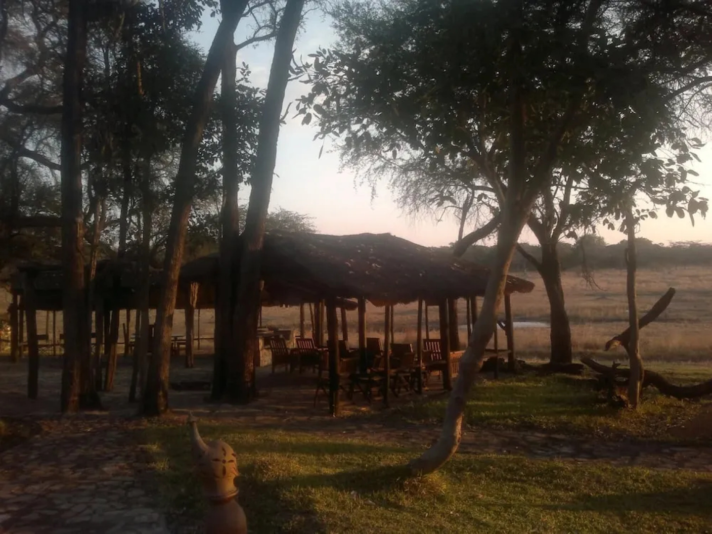 The Tree Lodge at Sikumi