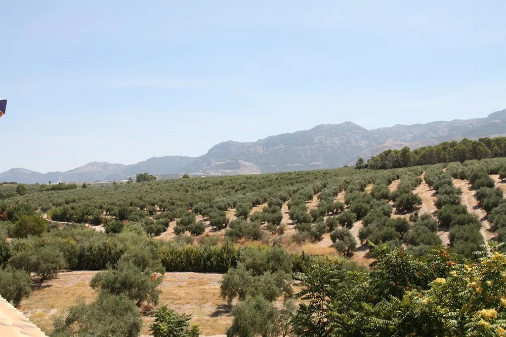 Hotel Posada del Cordobés