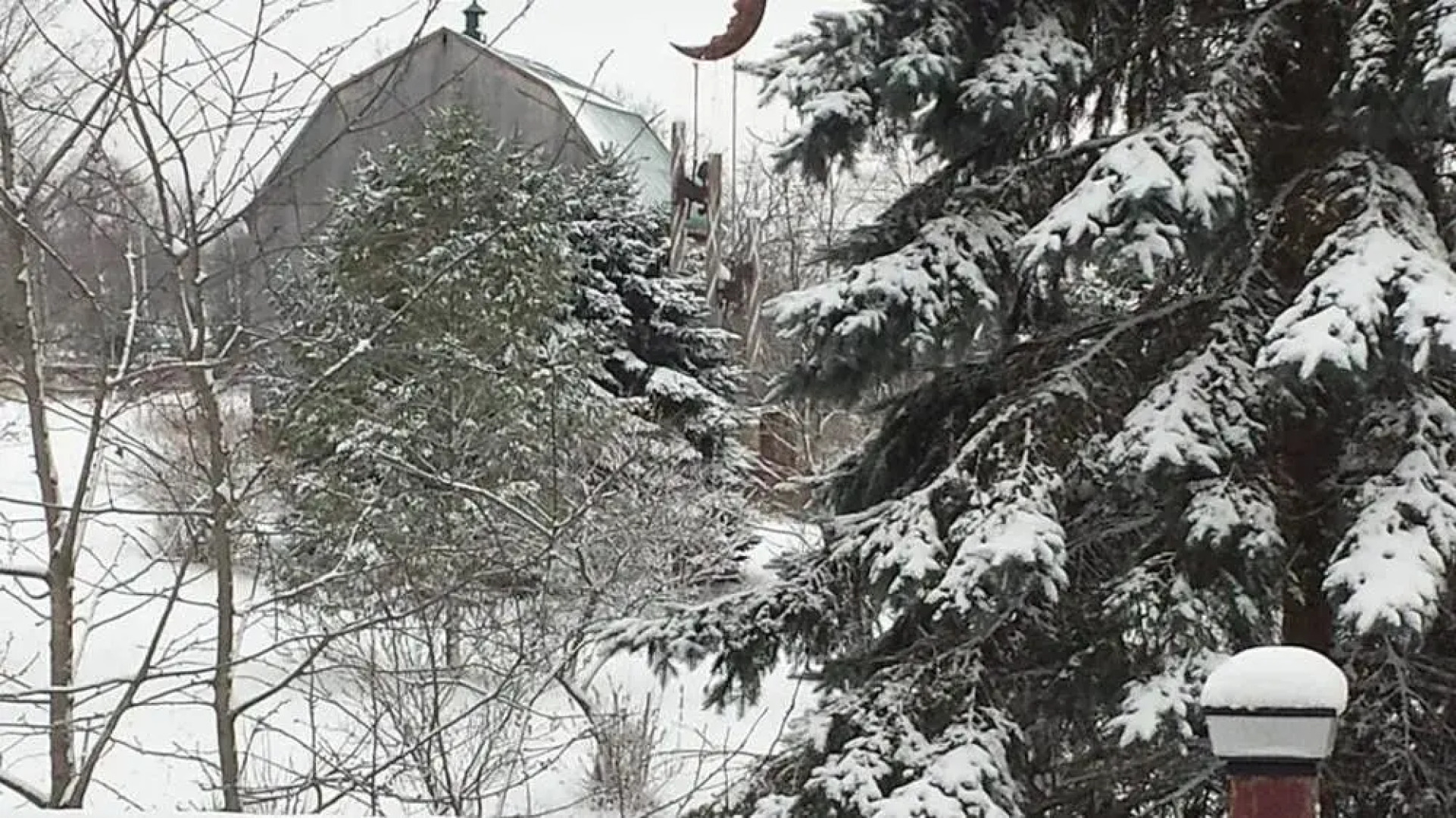 Saugeenview Family Getaway