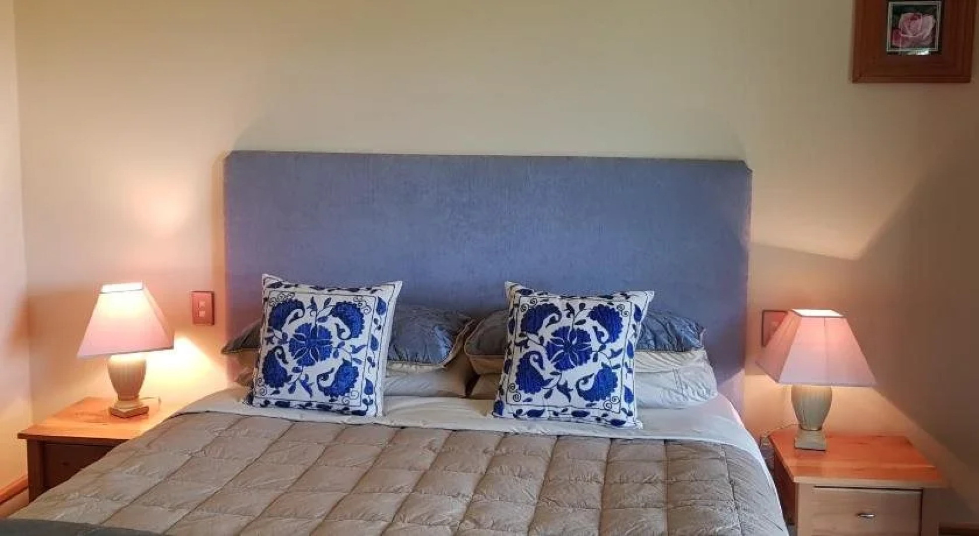 Hawkdun Rise Vineyard & Accommodation