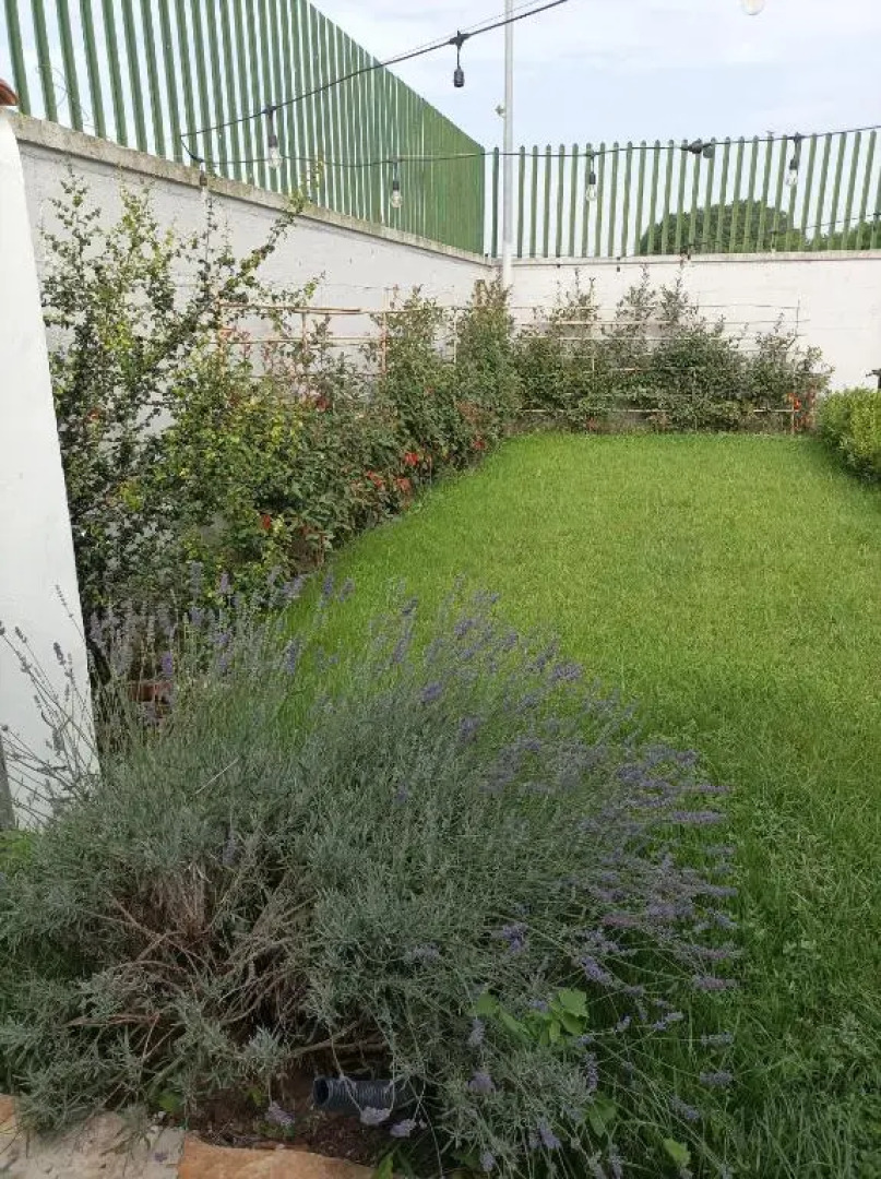 La Suite della casa bianca