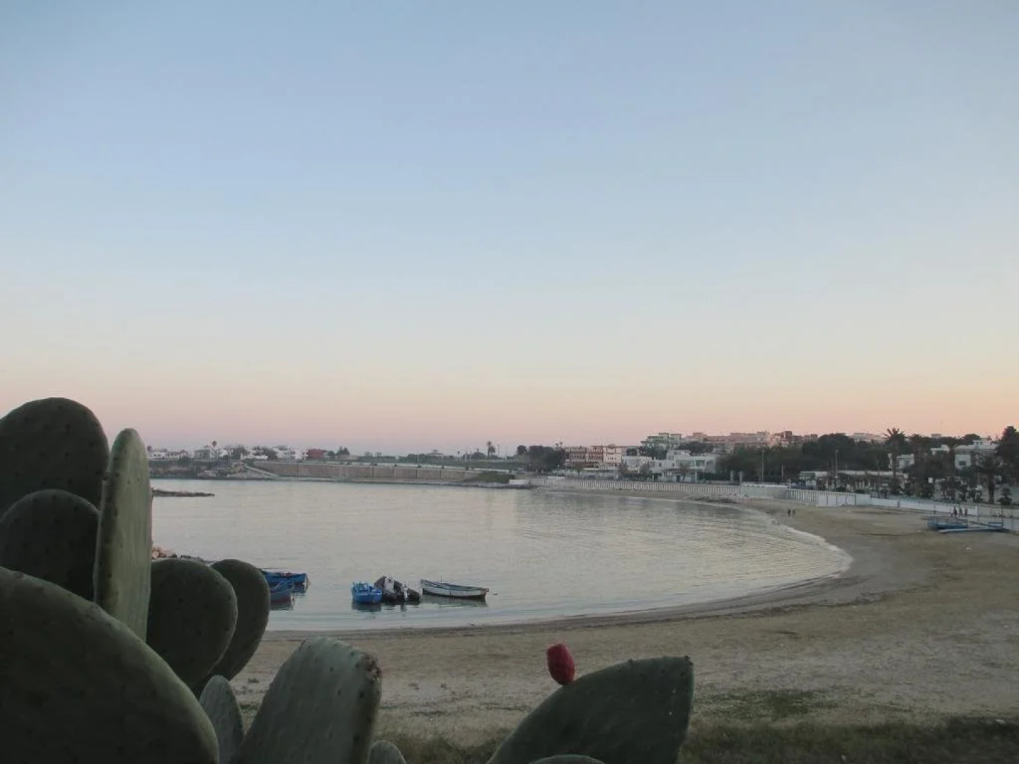 B&B Agorà Bisceglie